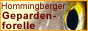 Banner der Hommingberger Gepardenforelle by piperweb.de